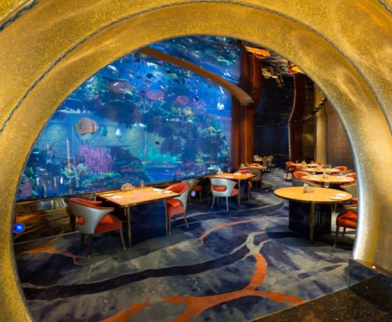 Dinner At Burj Al Arab